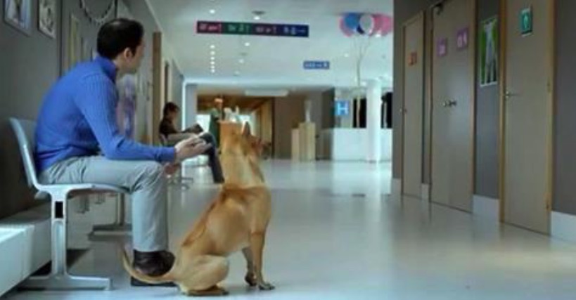 Der Besitzer wartet mit seinem Hund im Krankenhaus – aber schau, mit was die Krankenschwester herauskommt