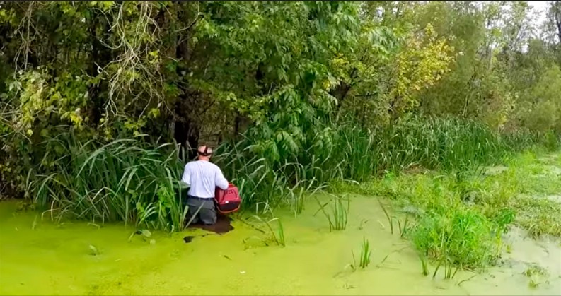 Er hörte ein Weinen im Sumpf und sprang direkt ins Wasser, wo sich die Alligatoren versteckten! Sieh nur, wen er gerettet hat!