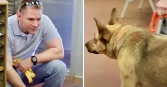 Emotionaler Mann ist besorgt Hund wird sich während des Wiedersehens nach sieben Monaten Trennung nicht an ihn erinnern
