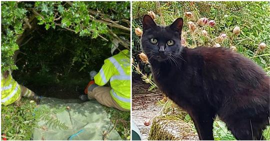 Das Miauen einer Katze bringt Rettungskräfte dazu, ihr zu folgen – finden 83 jährige Frau, die in Schacht gefallen war