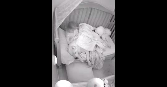 Vater lässt 45 Kilogramm schweren Pitbull mit Kleinkind in der Krippe schlafen und dieser Videoclip machte Schlagzeilen