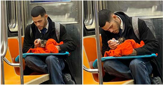 Frau bemerkt Mann, der in der U Bahn ein streunendes Kätzchen mit einer Flasche füttert: Das Foto geht viral