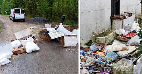 Ein Mann hinterlässt Müll im Wald: Nachdem er identifiziert wurde, lässt die Bürgermeisterin alles in seinem Garten abladen