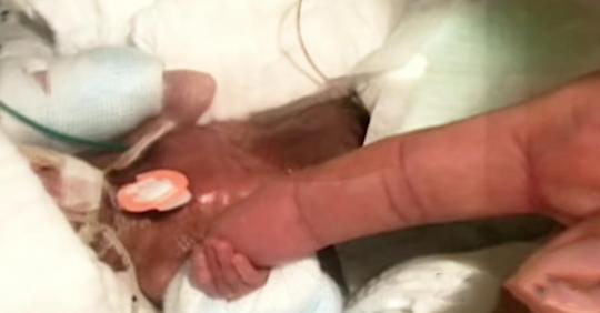 Kleinstes Neugeborenes der Welt verlässt das Krankenhaus bei guter Gesundheit