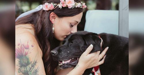 Bewegende Hochzeit: Todkranker Hund der Braut lebt lange genug, um sie zum Altar zu führen
