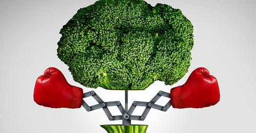 Brokkoli – Powergemüse gegen Krebs, Magengeschwüre und Arthrose